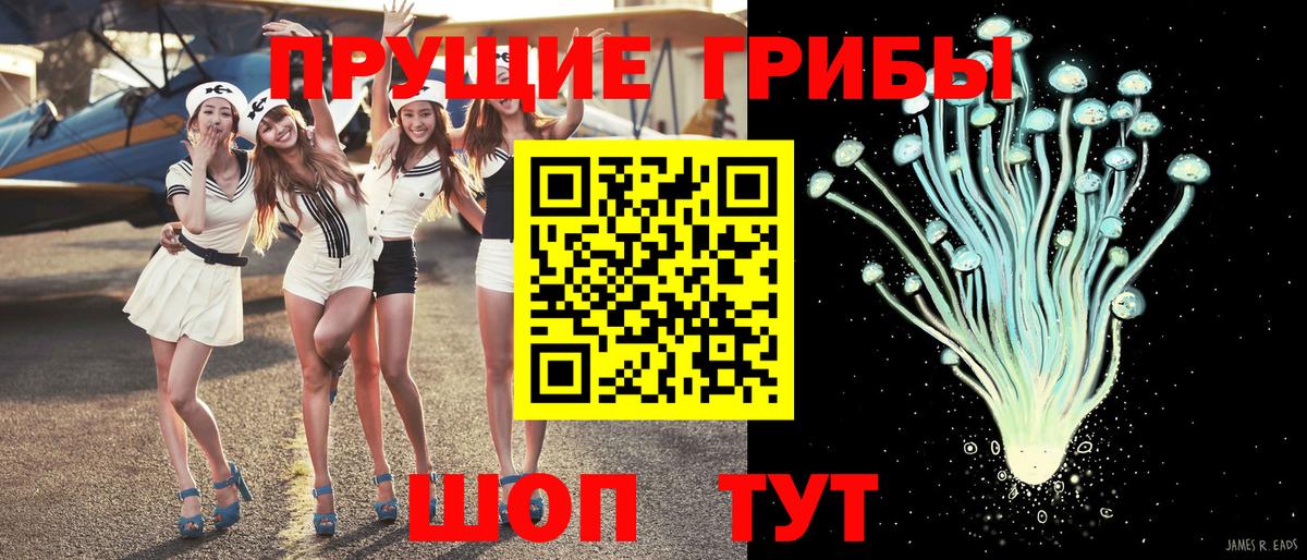 Ефремов  Псилоцибиновые грибы прущие грибы  Псилоцибиновые грибы прущие грибы  Вход с VPN 