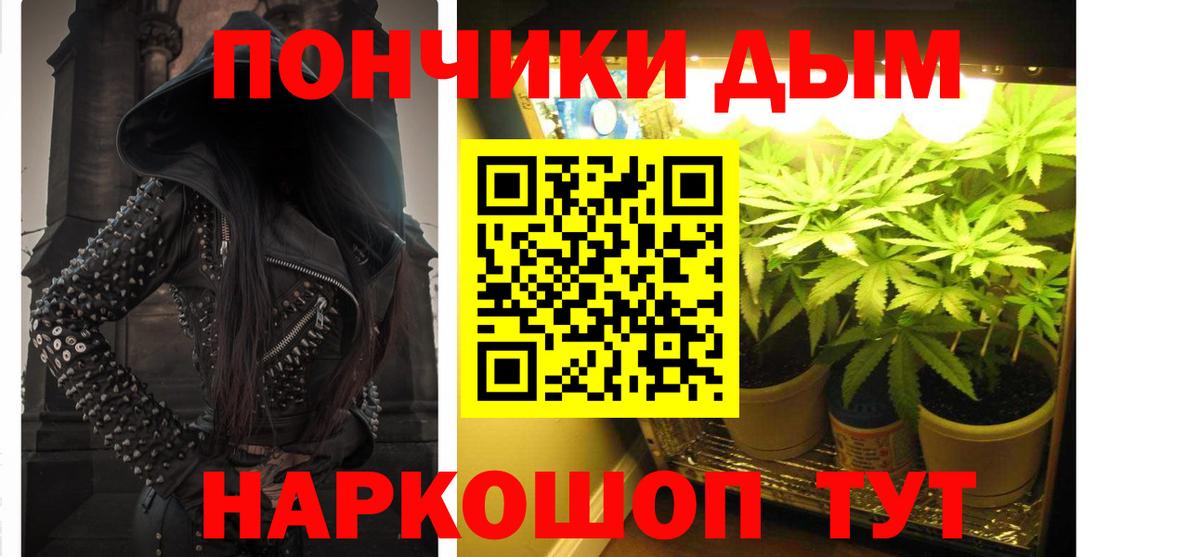 Марихуана сатива Ефремов